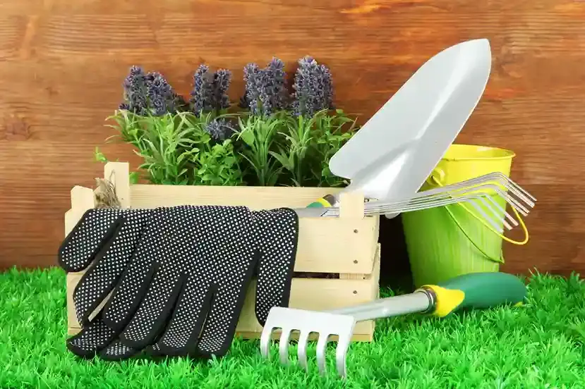 Artificial Turf Installation in Phoenix, Arizona - Mr Clean Turf