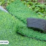 Artifical Turf VS Grass