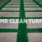 Brick Pavers | Installation Ideas and Maintenance Tips