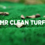 Types of Artificial Turf—And How to Choose the Right One