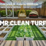 Landscape Ideas | Create a Lush and Green Space This Summer 2025