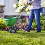 Spring Lawn Care Tips for Gilbert, AZ