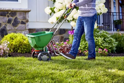 Spring Lawn Care Tips for Gilbert, AZ