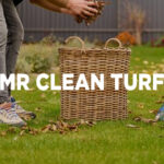 Spring Lawn Care Tips for Phoenix, AZ