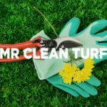 Spring Lawn Care Tips for Tempe, AZ